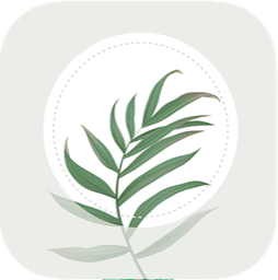 Blossom logo