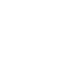 Ponti logo