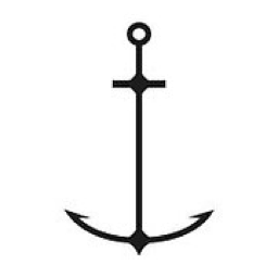 Skin Gin logo
